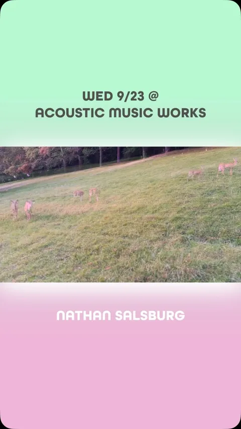 Flyer for Nathan Salsburg / Dan Petrich / The Impenetrable String Tangle at Acoustic Music Works